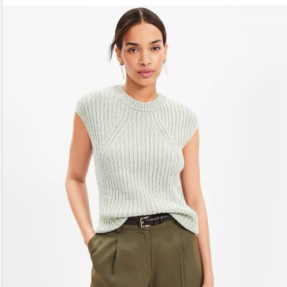 NWT Loft Marled Ribbed Wedge Sweater Size L